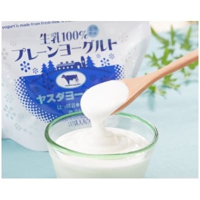 【5ヶ月定期便】ヤスダヨーグルト パウチタイプ プレーン 600g×4個 アレンジ名人セットA