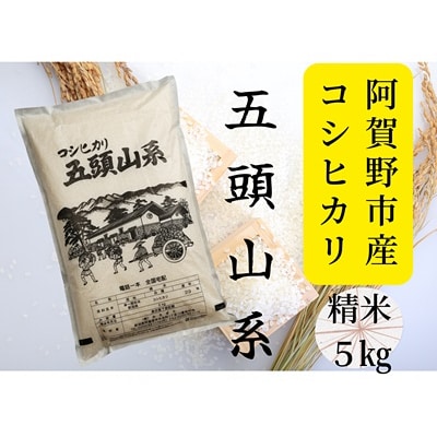 【令和7年産】コシヒカリ5kg「米屋のこだわり阿賀野市産」