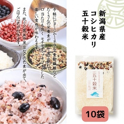 GOZU 五十穀米 10袋セット