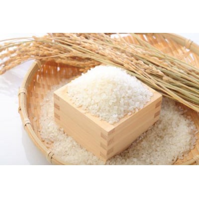 【令和7年産】【3回定期便】「米屋のこだわり阿賀野市産」コシヒカリ2kg×3回