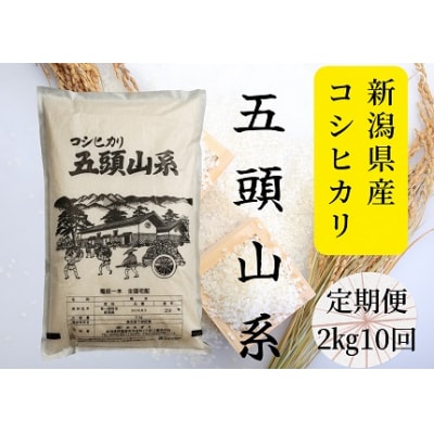 【令和7年産】【10回定期便】「米屋のこだわり阿賀野市産」コシヒカリ2kg×10回