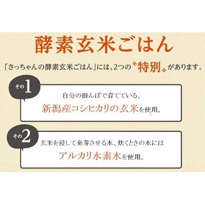 【2ヶ月定期便】さっちゃんの酵素玄米ごはん「冷凍タイプ」70g×2個×14パック×2回 コシヒカリ