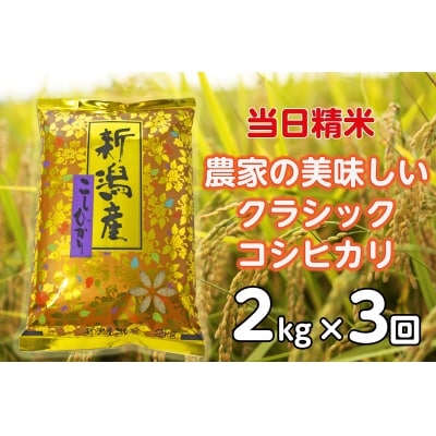 【令和7年産】【3ヶ月定期便】 当日精米! 農家直送クラシックコシヒカリ 2kg×3回 計6kg