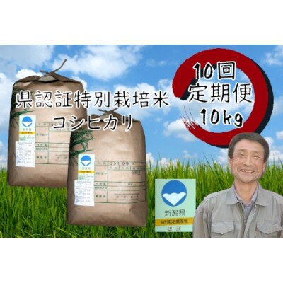 【令和7年産】【10回定期便】新潟県認証!特別栽培米 コシヒカリ 10kg