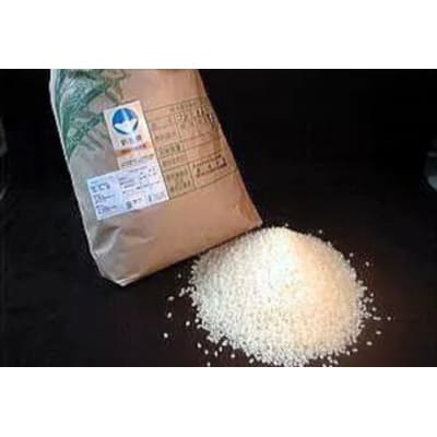 【令和7年産】【3か月定期便】新潟県認証 特別栽培米 コシヒカリ 5kg×3回 