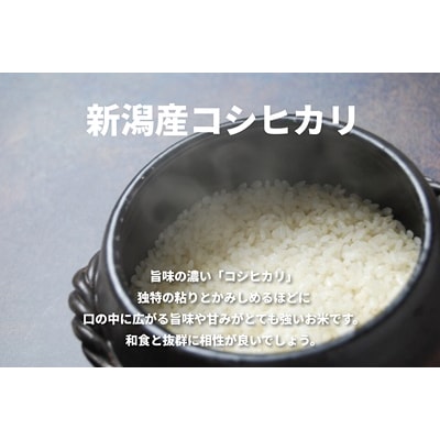 【令和7年産】【5回定期便】コシヒカリ5kg×5回　米杜氏 阿賀野市産