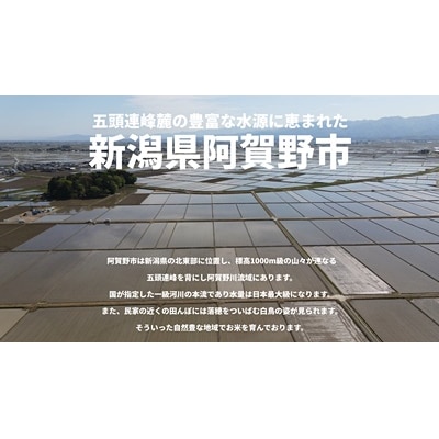 【令和7年産】【5回定期便】コシヒカリ5kg×5回　米杜氏 阿賀野市産