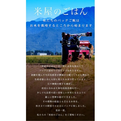 【6ヶ月定期便】パックご飯 新潟県阿賀野市産みずほの輝き 150g×24食×6回