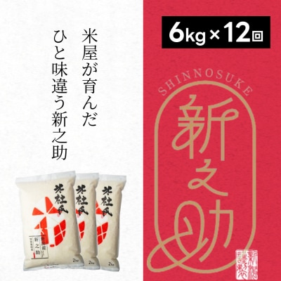 【令和7年産】【12ヶ月定期便】米杜氏 阿賀野市産 新之助 6kg (2kg×3袋)×12回