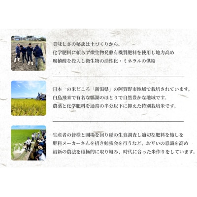 【令和7年産】【12ヶ月定期便】米杜氏 阿賀野市産 新之助 6kg (2kg×3袋)×12回