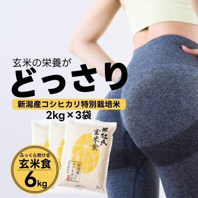 【令和7年産】ふっくら玄米食 6kg(2kg×3)米杜氏 新潟県阿賀野市産 特別栽培コシヒカリ 