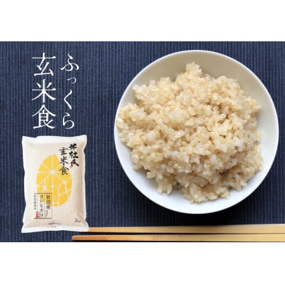 【令和7年産】【6ヶ月定期便】ふっくら玄米食 6kg(2kg×3)×6回 米杜氏 