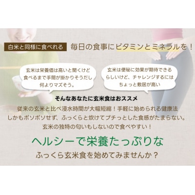 【令和7年産】【6ヶ月定期便】ふっくら玄米食 6kg(2kg×3)×6回 米杜氏 