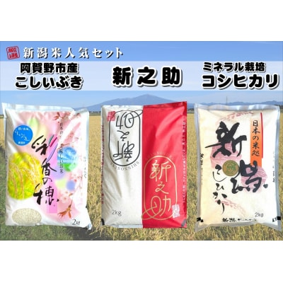【令和7年産】新潟人気米セット計6kg(コシヒカリ・新之助・こしいぶき各2kg)