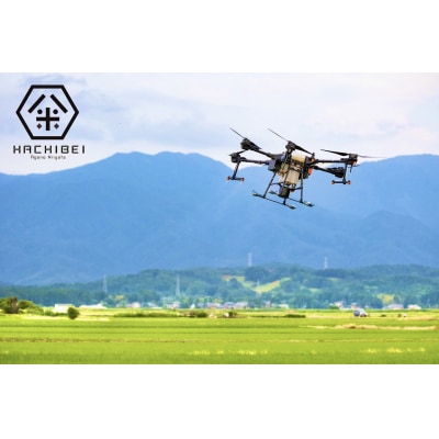 【令和7年産】3ヶ月定期便 無洗米 コシヒカリ 5kg×3回 計15kg はちみつ農法