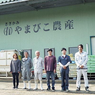 【令和7年産】農家直送!玄米黒酢農法コシヒカリ「やまびこ米」2kg(白米)