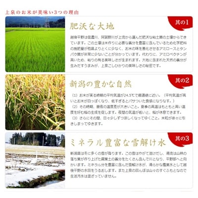 【令和7年産】【新潟産コシヒカリ】 旧笹神村産 新潟の泉 10kg (5kg×2)