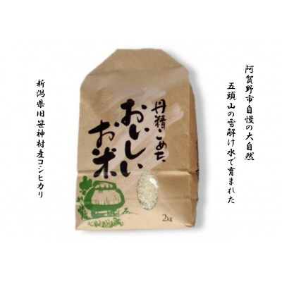 【令和7年産】3ヶ月定期便 旧笹神村産 コシヒカリ 2kg×3回 合計6kg 白米 上泉