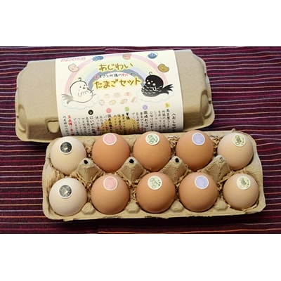 【あずさと四種の地鶏詰め合わせ】あじわいたまごセット 卵 たまご 地鶏