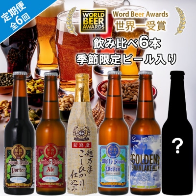 ビール スワンレイクビール 6回定期便 世界一金賞受賞入り 6本セット 阿賀野市 新潟県 阿賀野