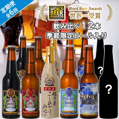 ビール スワンレイクビール 6回定期便 世界一金賞受賞入り 12本セット 阿賀野市 新潟県 阿賀野