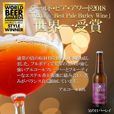 ビール スワンレイクビール 父の日 プレミアム 3本セット 阿賀野市 新潟県 阿賀野 クラフト