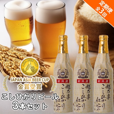 ビール スワンレイクビール 3回定期便 金賞受賞入り こしひかり仕込みビール3本セット 阿賀野市
