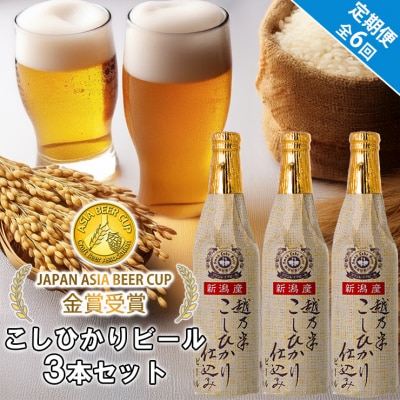 ビール スワンレイクビール 6回定期便 金賞受賞入り こしひかり仕込みビール3本セット 阿賀野市