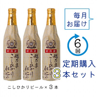 ビール スワンレイクビール 6回定期便 金賞受賞入り こしひかり仕込みビール3本セット 阿賀野市