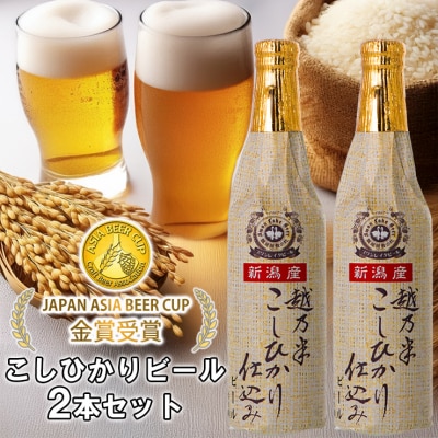 ビール スワンレイクビール 金賞受賞入り こしひかり仕込みビール2本セット 阿賀野市 新潟県 阿賀野