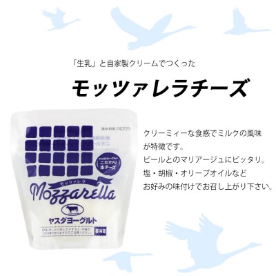 スワンレイクビール 3回定期便 ビール4本&ヤスダヨーグルトモッツァレラチーズ