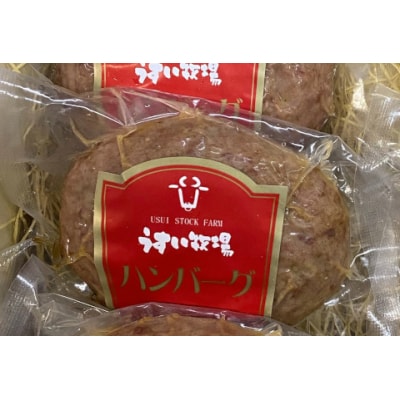 蒲原牛レストランハンバーグ6個セット