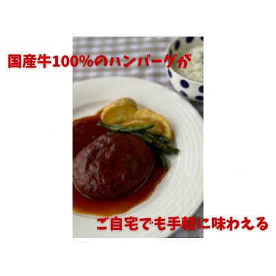 ミートフーズウスイ にこにこセット レストランハンバーグ2個と煮込みハンバーグ2個セット