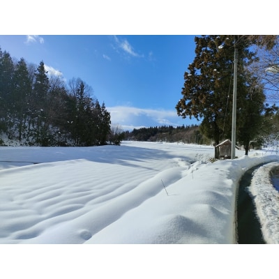 夢の谷ファームのこめ粉 250g×4袋 