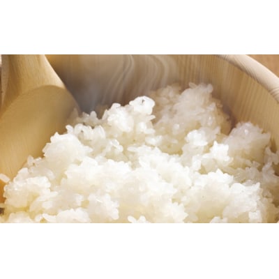 【6ヶ月定期便】 1/25 越後ごはん 小盛 140g×30個×6回 バイオテックジャパン