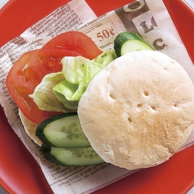 【6ヶ月定期便】【たんぱく質調整食品】越後のバーガーパン80g×20個×6回 バイオテックジャパン