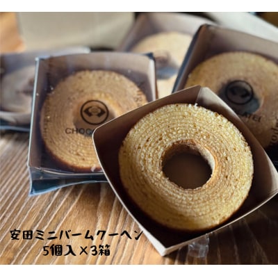 しょこら亭 安田ミニバームクーヘン 5個入×3セット 直径約8.0㎝
