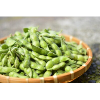  夏季限定 朝採り 枝豆 「えんだま」 2kg (250g×8袋) 新潟県 阿賀野市産