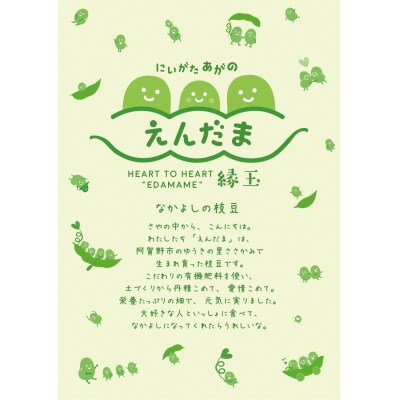  夏季限定 朝採り 枝豆 「えんだま」 2kg (250g×8袋) 新潟県 阿賀野市産