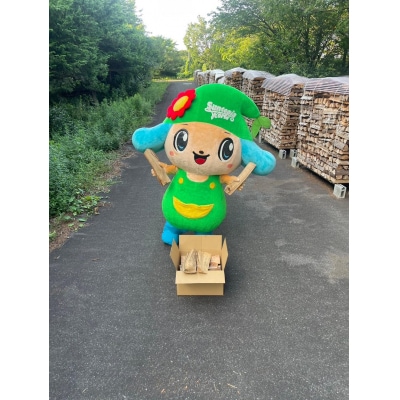 ナラ薪 17kg 40cm×14本 遊園地で製造した薪 サントピアワールド