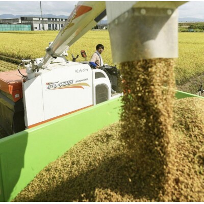 ミルキークイーンパック ご飯 150g×20パック 