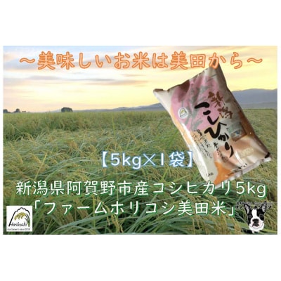 【令和7年産】阿賀野市産 コシヒカリ 「ファームホリコシ美田米」 5kg 白米 精米
