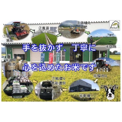 【令和7年産】阿賀野市産 コシヒカリ 「ファームホリコシ美田米」 10kg 白米 精米