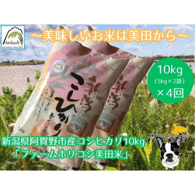 【令和7年産】【4ヶ月定期便】コシヒカリ「ファームホリコシ美田米」 10kg(5kg×2袋)