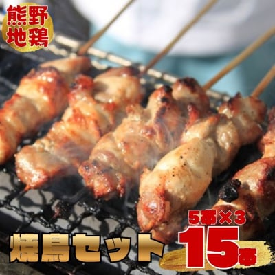 【テレビで紹介されました】熊野地鶏　焼鳥セット