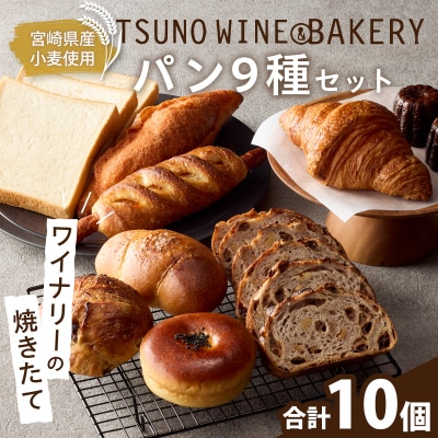 TSUNOWINE&BAKERY パン9種セット(合計10個) パン 菓子パン_T053-001