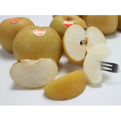 新甘泉 5kg 梨 鳥取県産 先行受付【8月下旬～9月上旬頃発送】JA米子選果場 0566