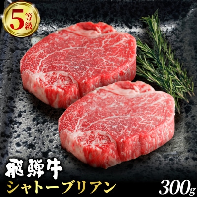 飛騨牛 最高5等級 シャトーブリアン ステーキ用 300g(150g×2枚)  赤身 養老ミート