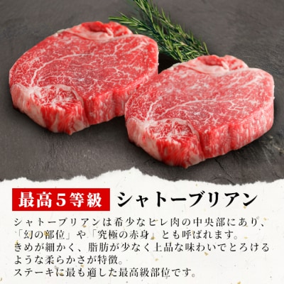 飛騨牛 最高5等級 シャトーブリアン ステーキ用 300g(150g×2枚)  赤身 養老ミート