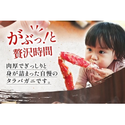 年内発送 かに 本 タラバガニ 脚 ボイル済 約1kg 極太5Lサイズ 20564323
